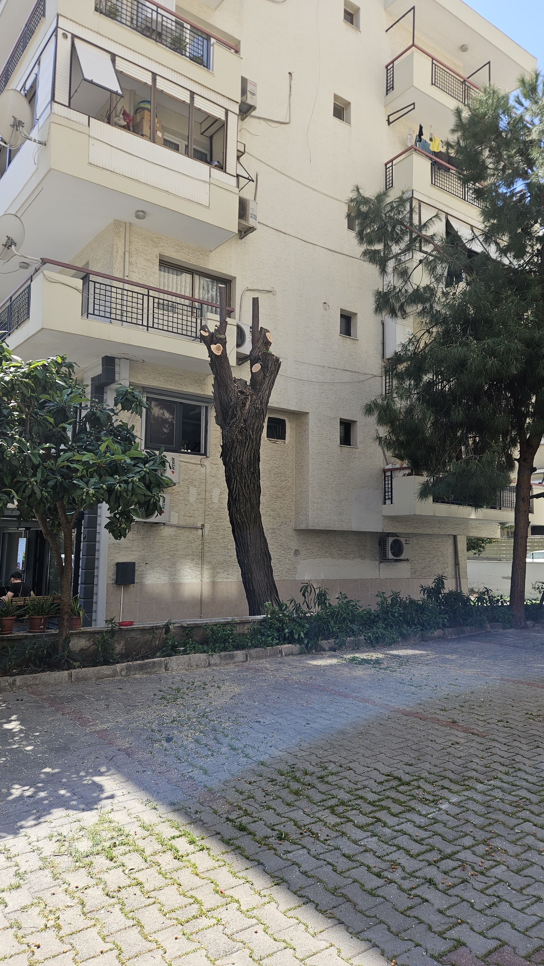 Bahçe Bakımı görsel 3