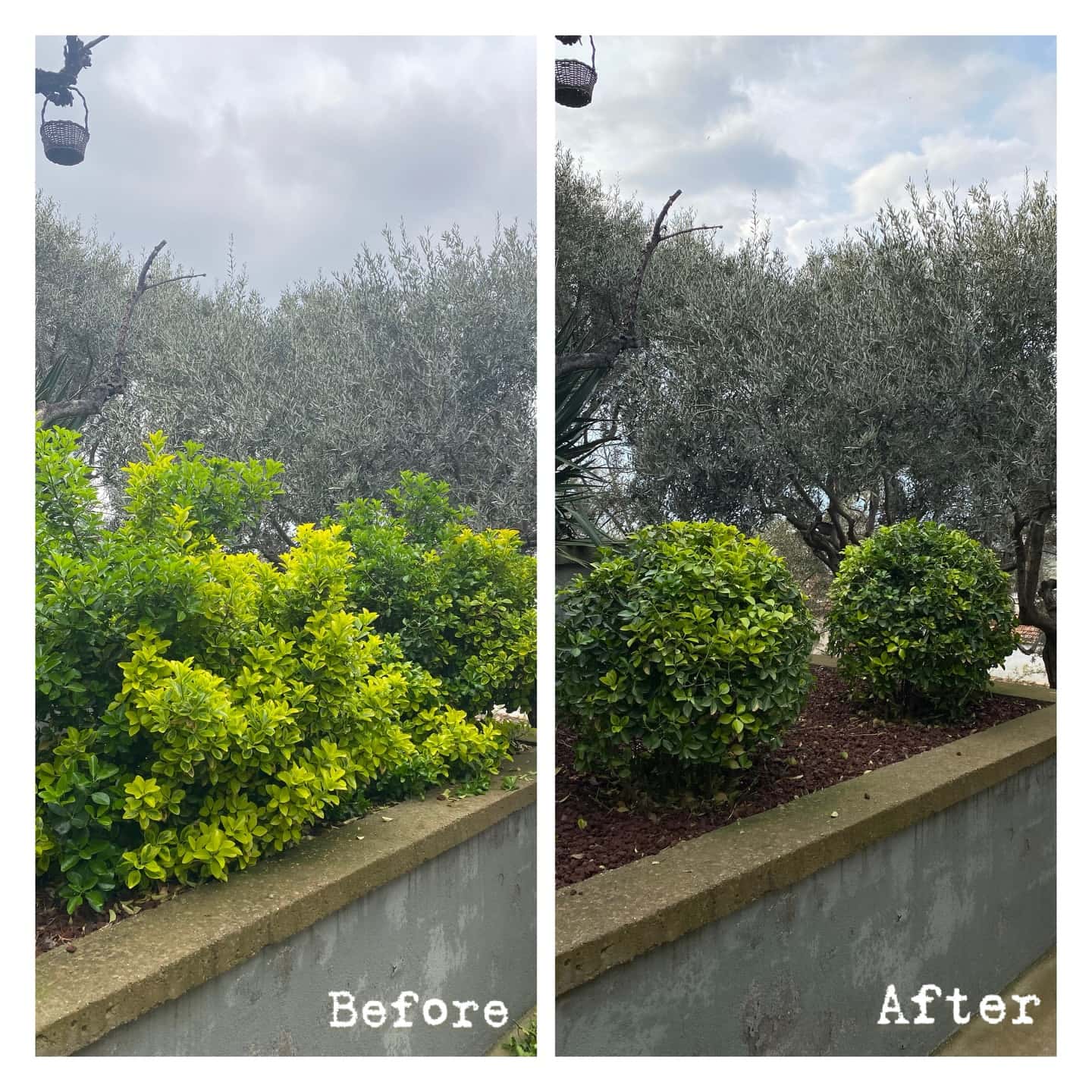 İzmir’de çim biçme ve bahçe düzenleme hizmeti